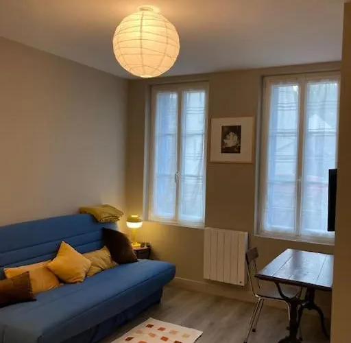 Charmant 2 Pieces De 24M2 En Centre-Ville