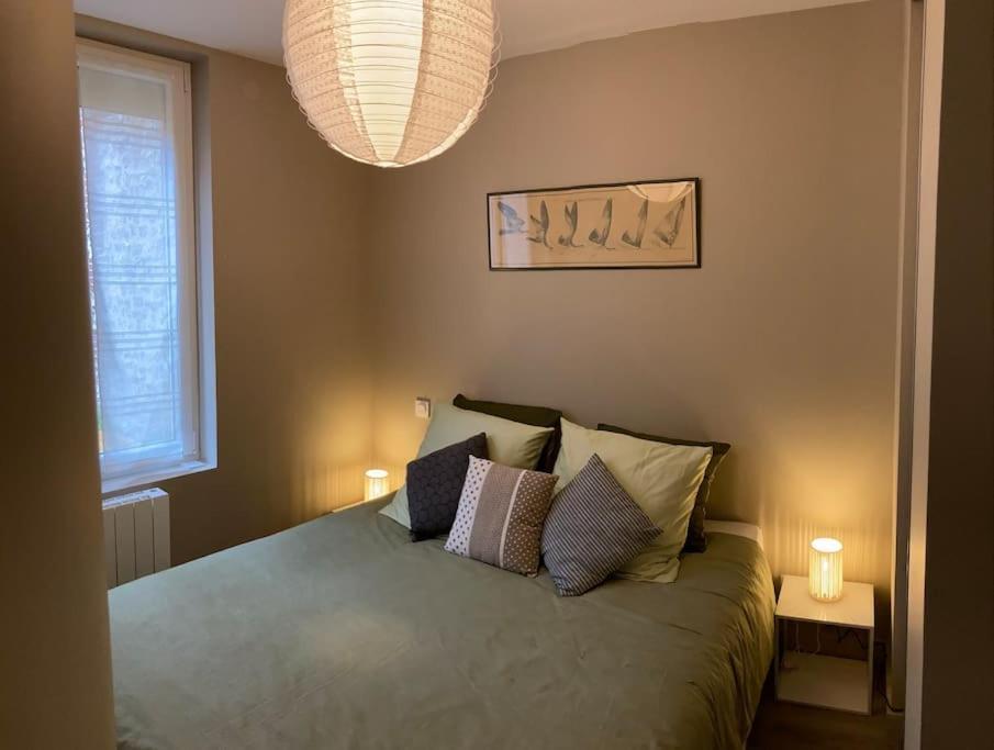 Appartement 2 Pieces De 24m2 En Centre-ville